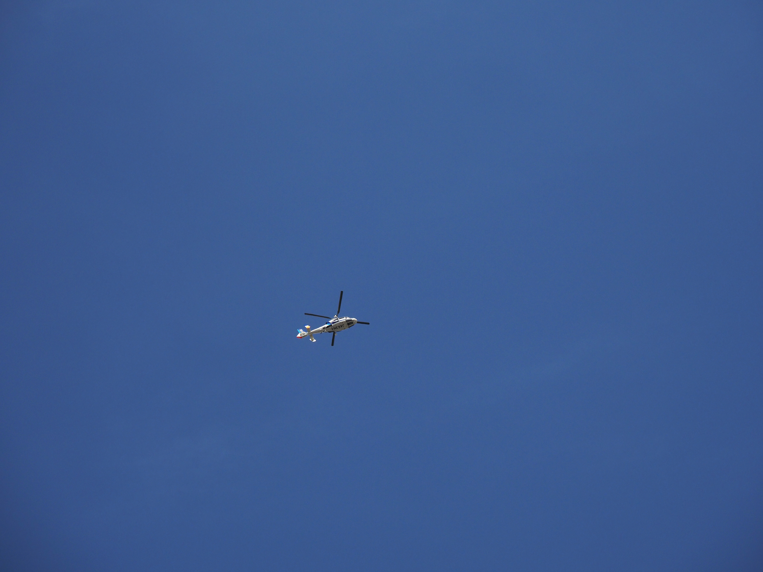 P4132394.jpg