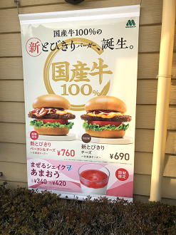 P4132399-10_thumb.png