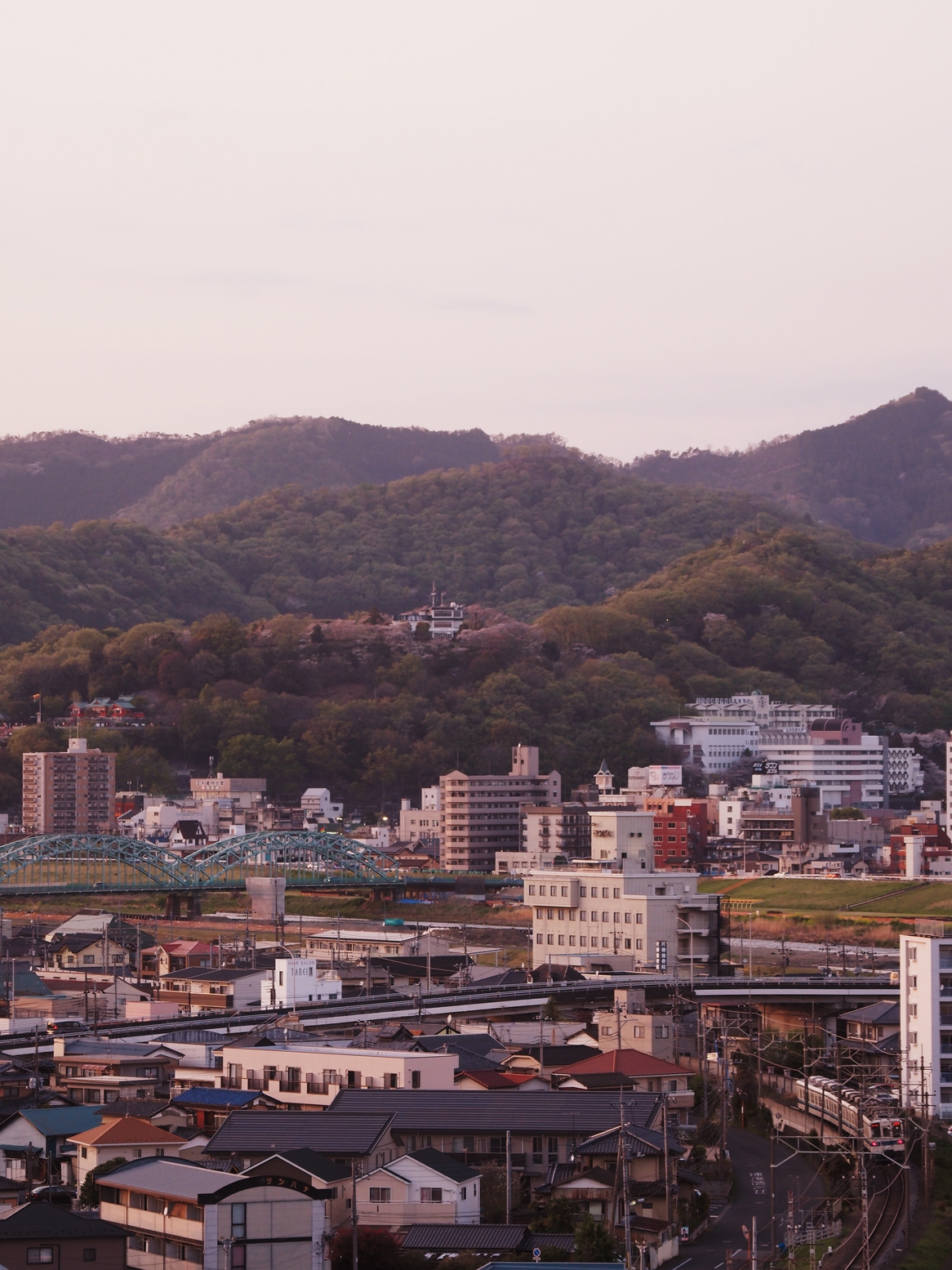 P4132445.jpg