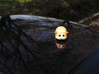 P4142491_thumb.png