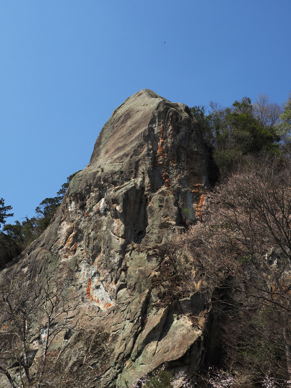 P4142501.jpg