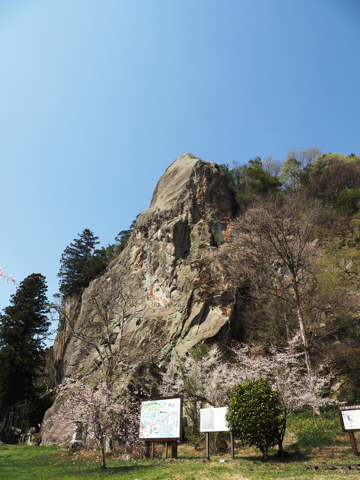 P4142502.jpg
