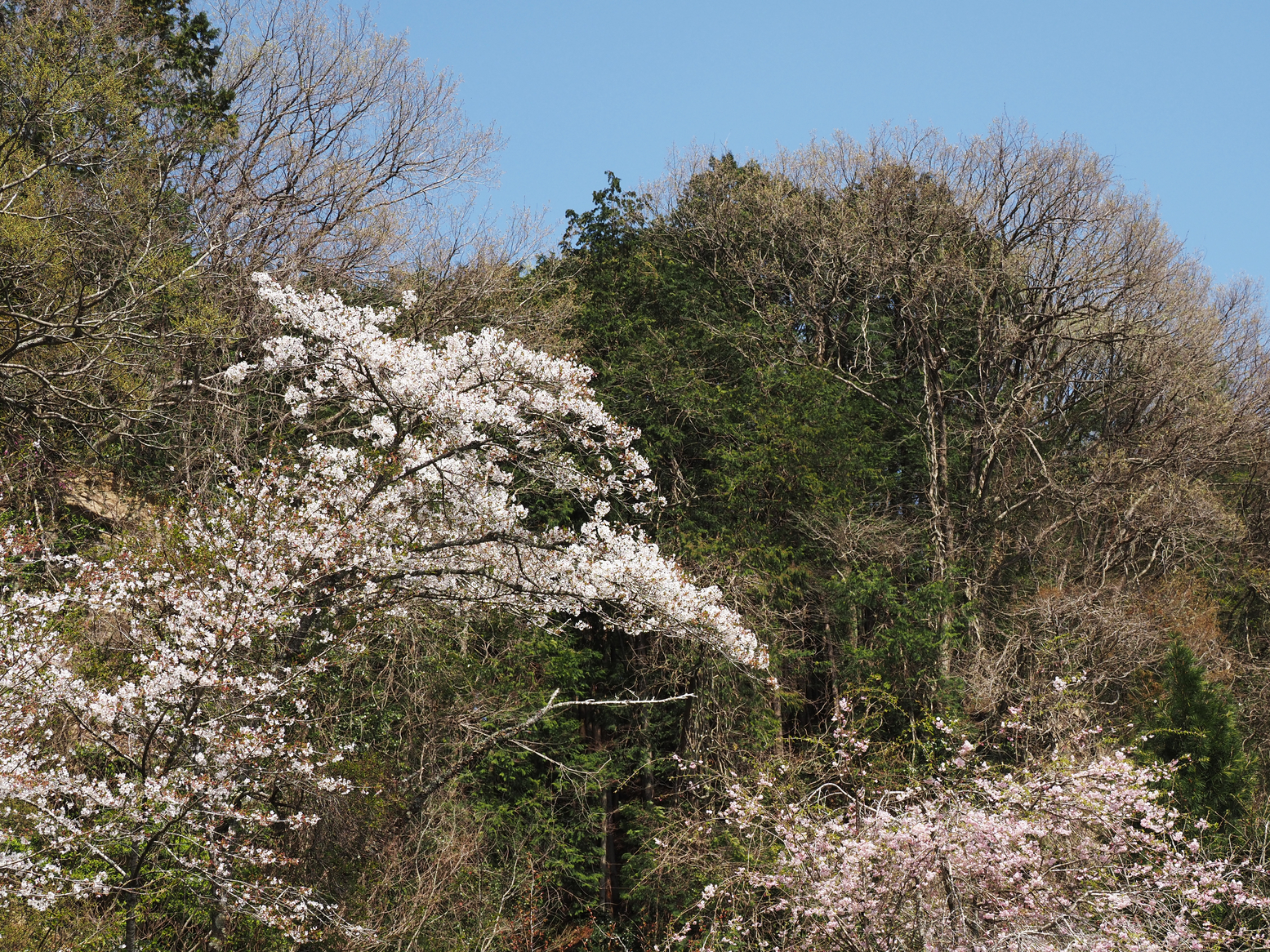 P4142510.jpg