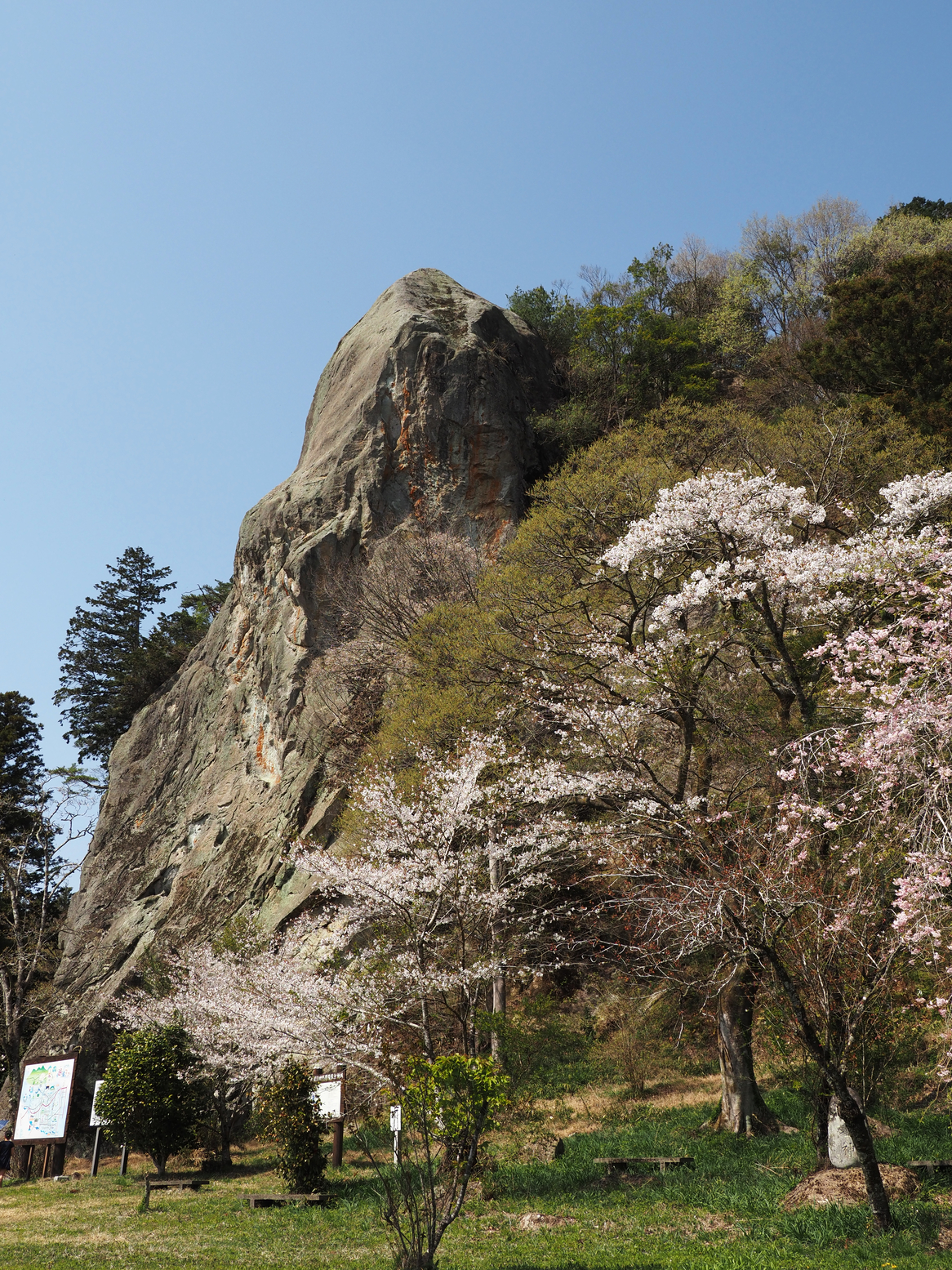 P4142515.jpg