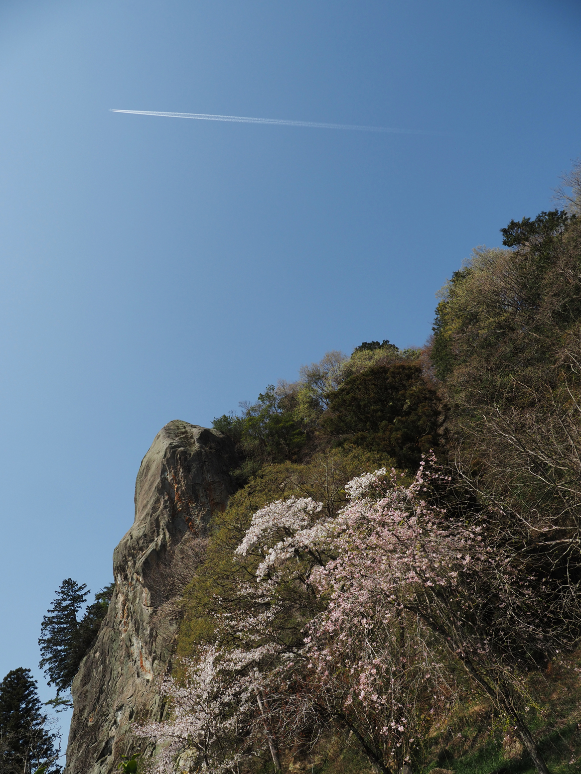 P4142526.jpg