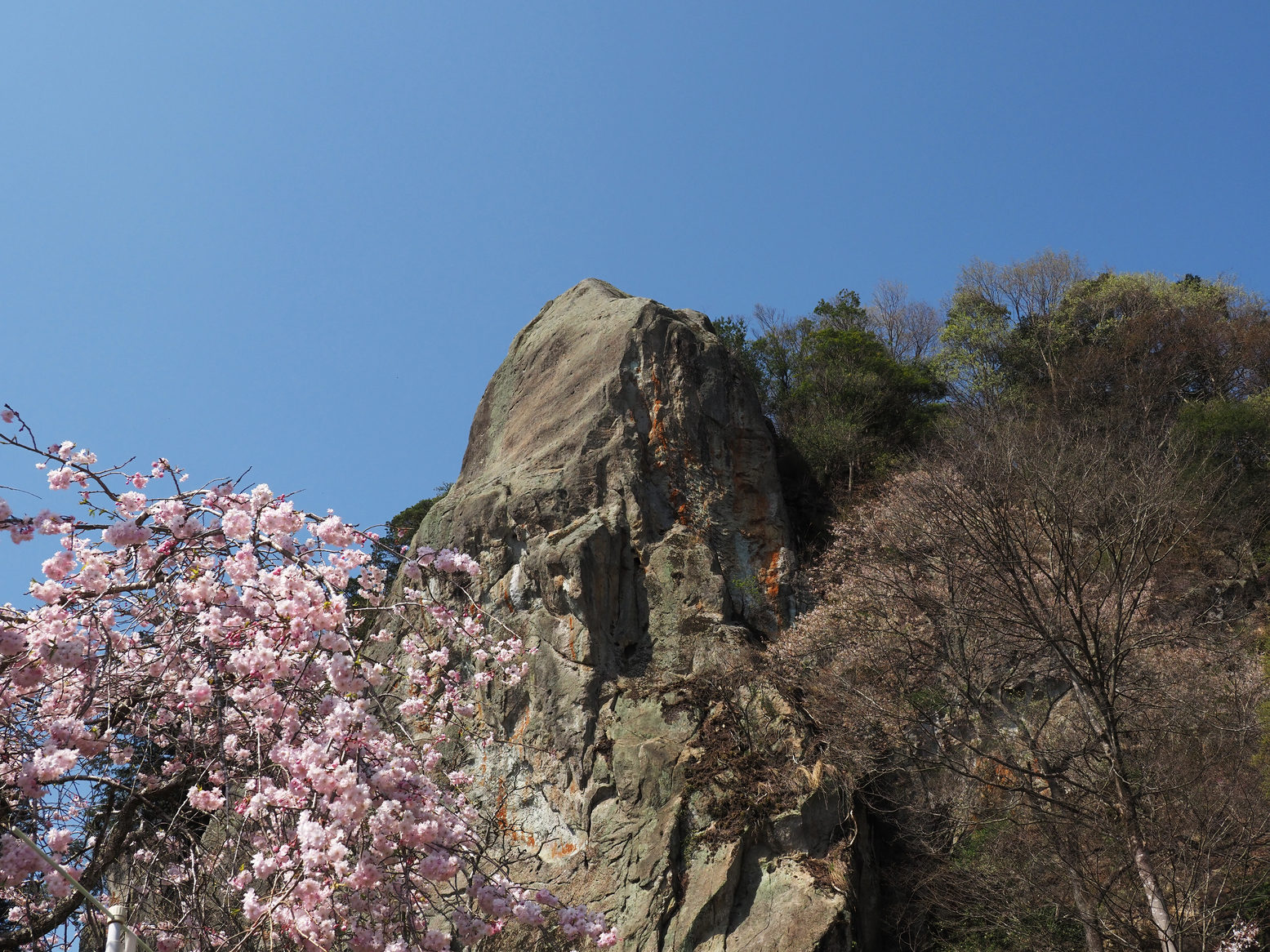 P4142529.jpg