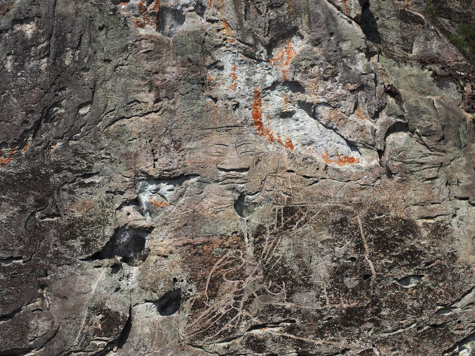 P4142534.jpg