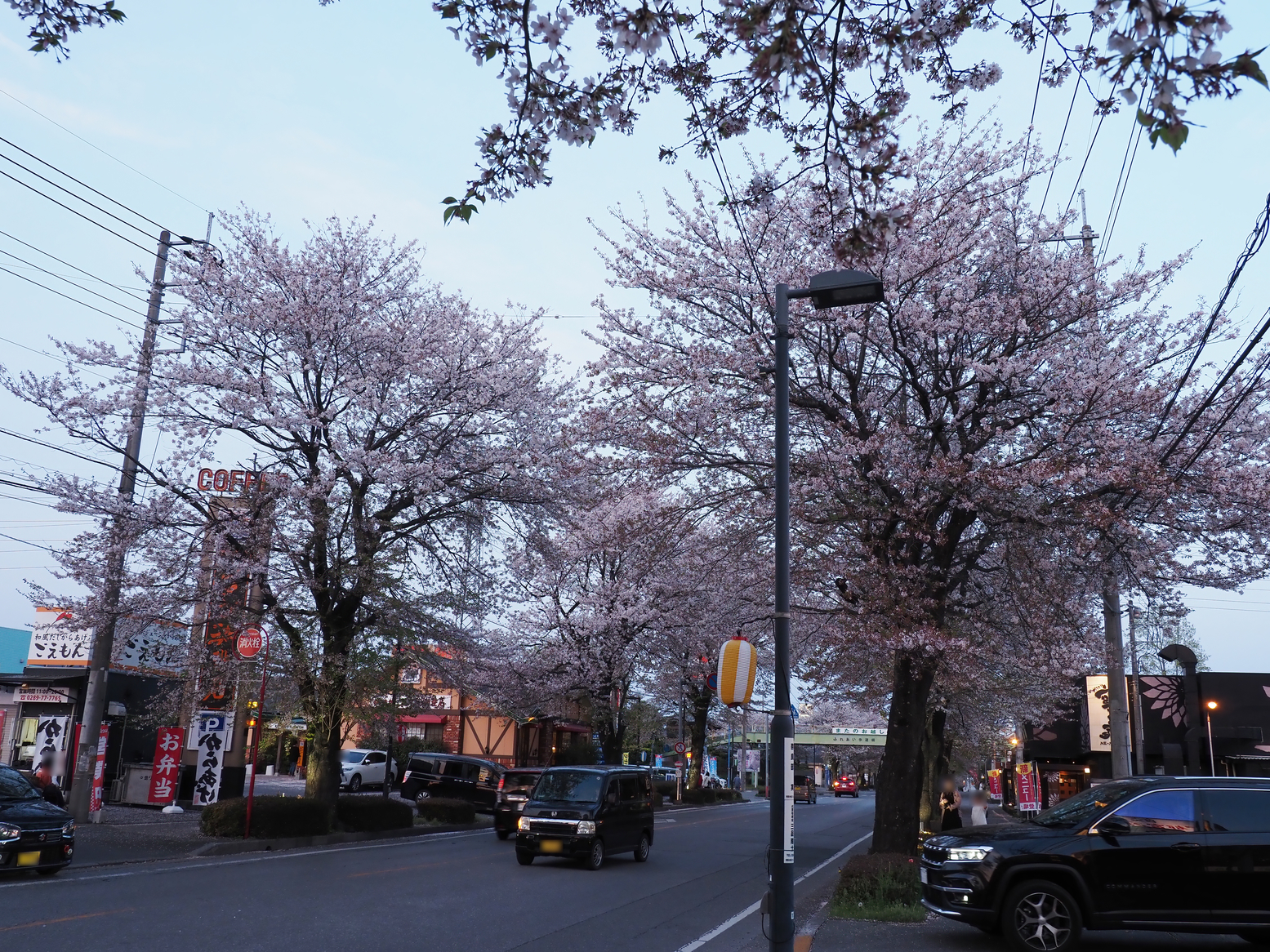 P4142568.jpg