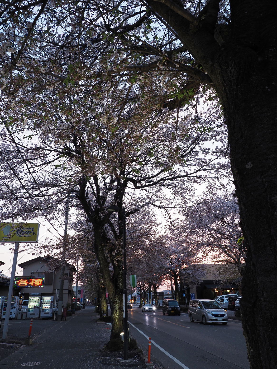P4142569.jpg