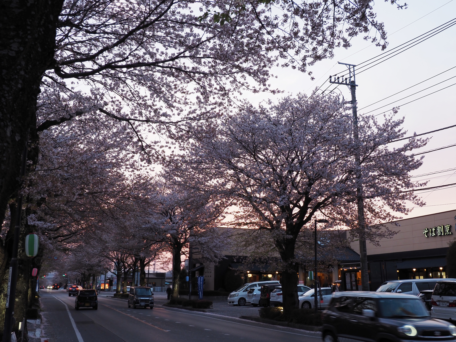 P4142571.jpg