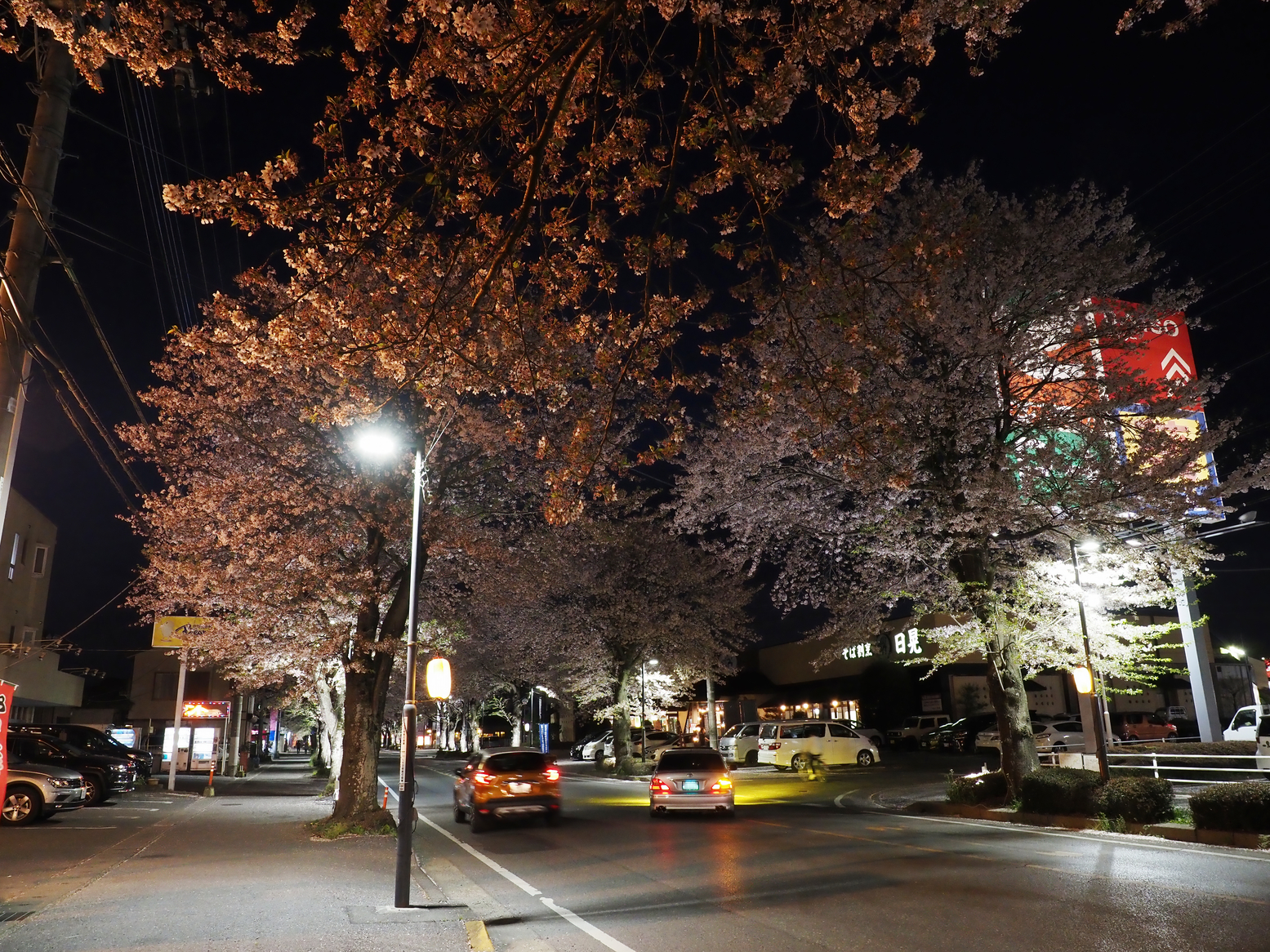 P4142575.jpg