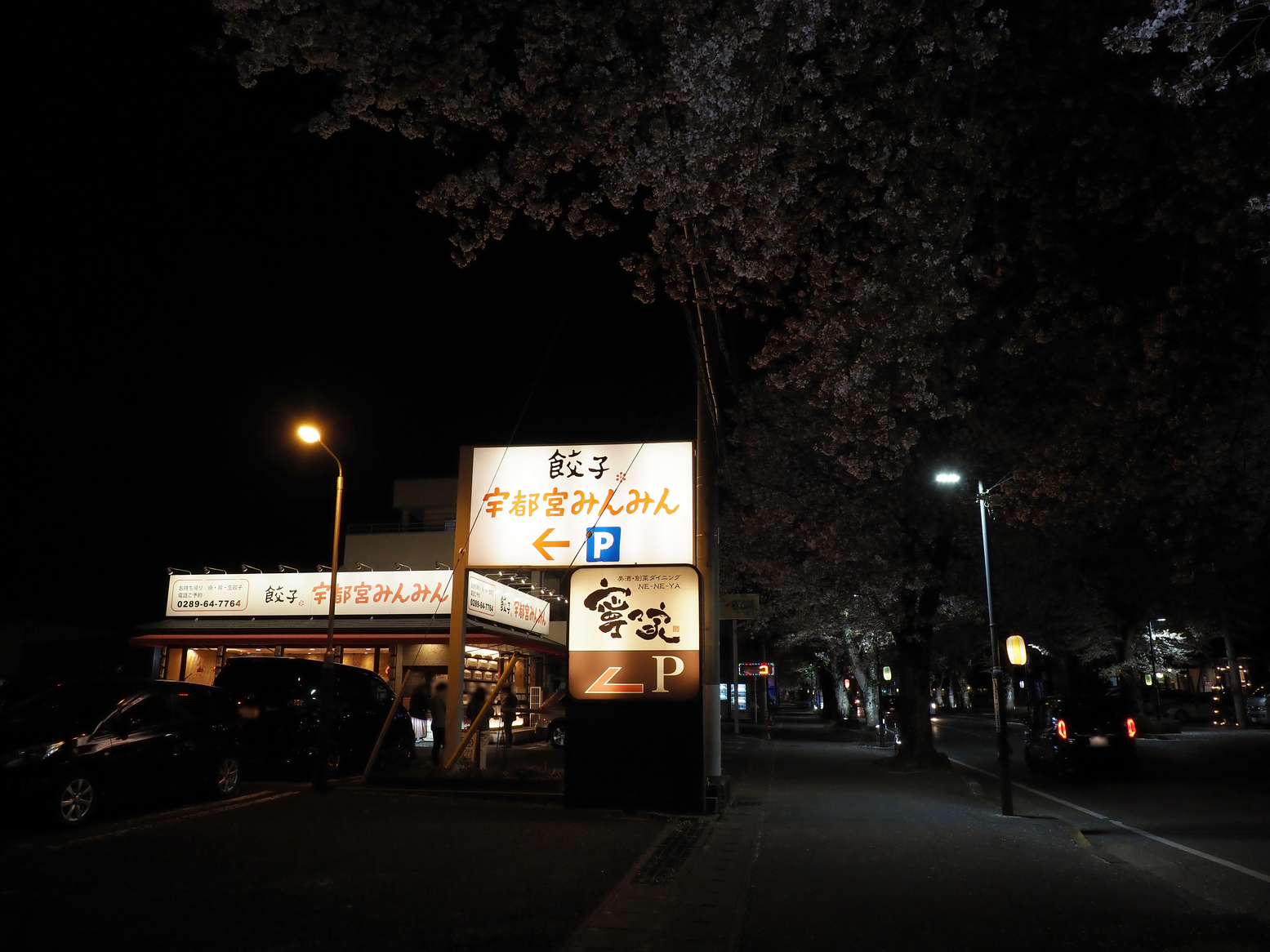 P4142582.jpg