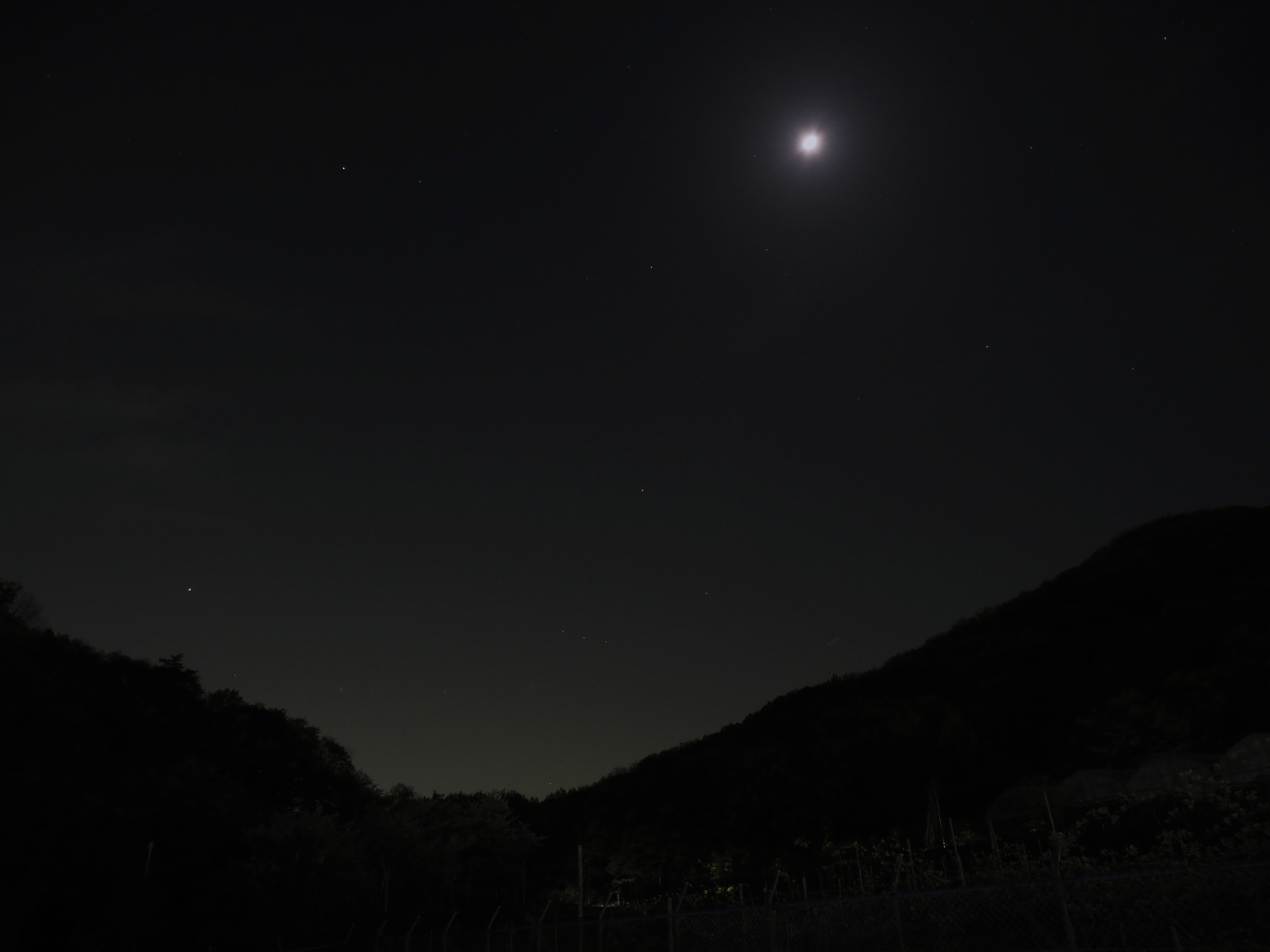 P4142621.jpg