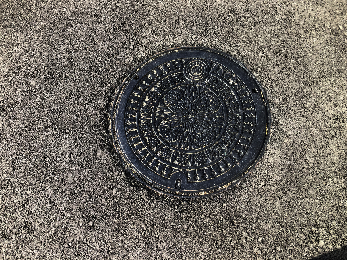 P5030469-015.jpg