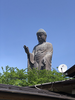 P5110544-11_thumb.png