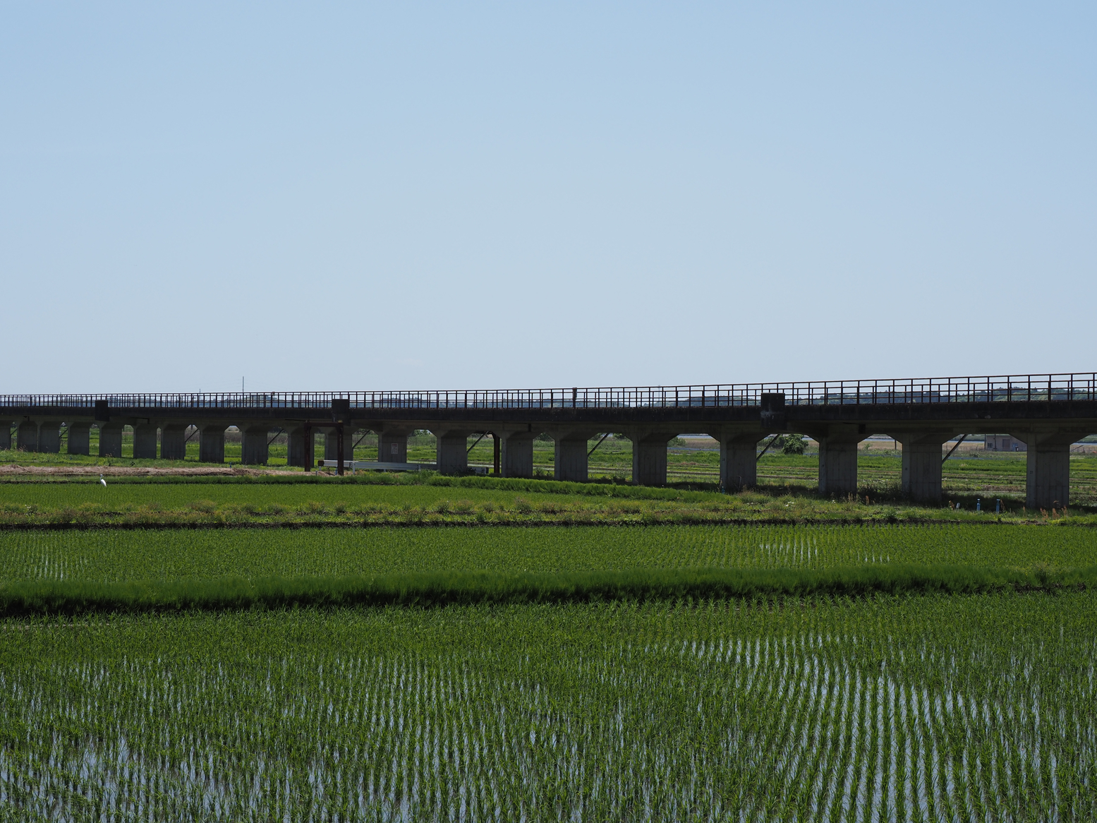 P5110557.jpg