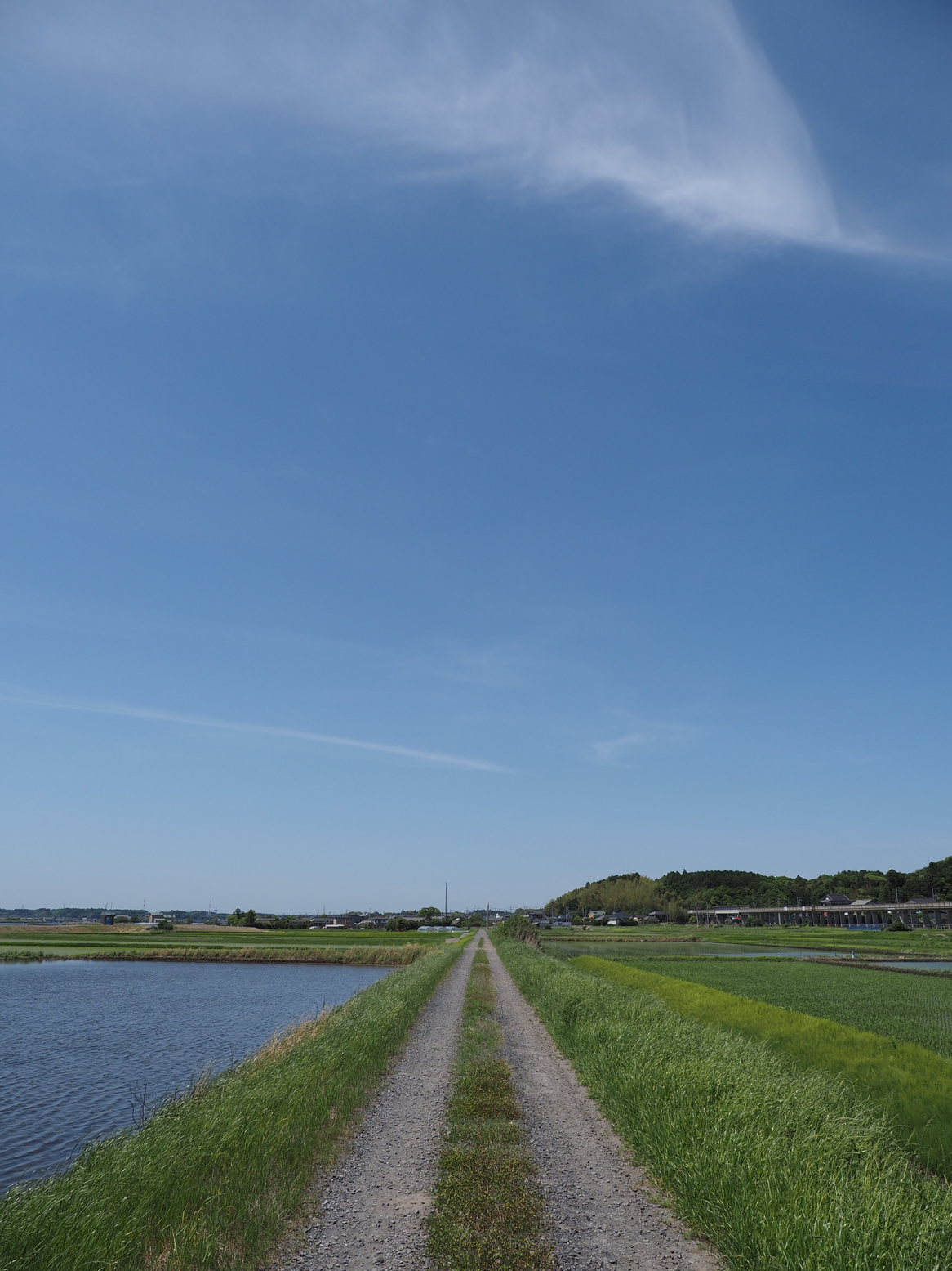 P5110599.jpg