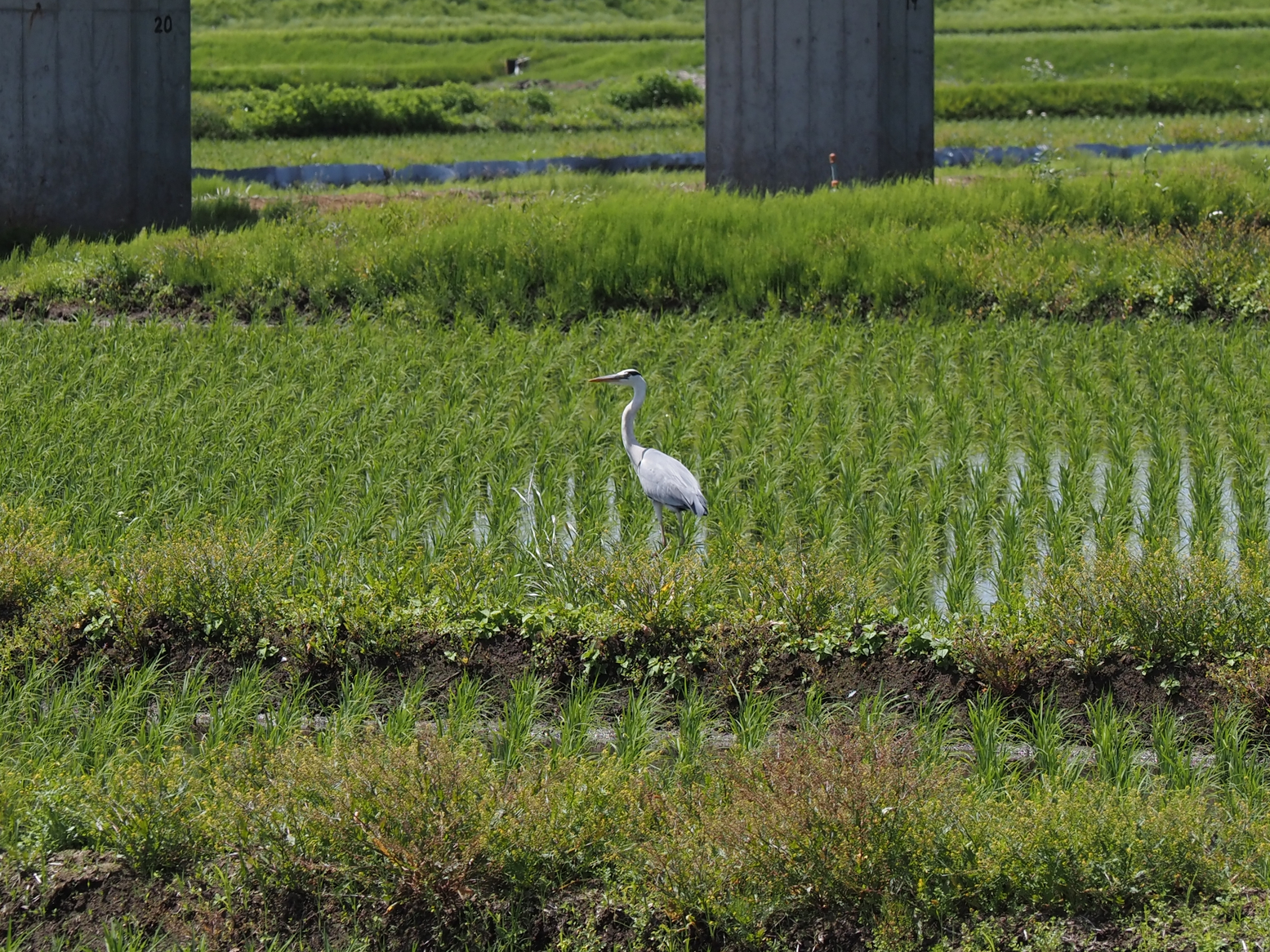 P5110645.jpg
