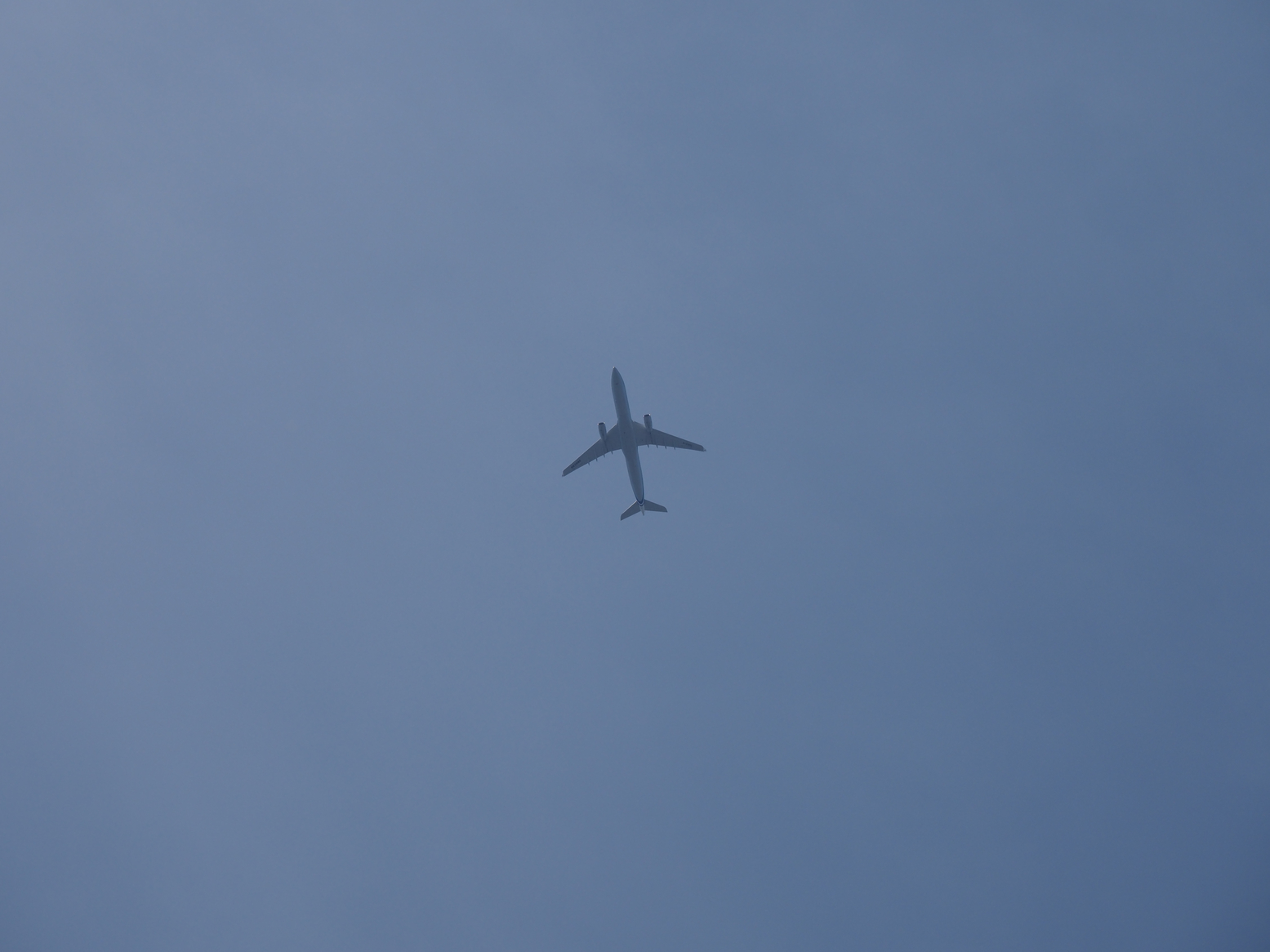 P5110655.jpg