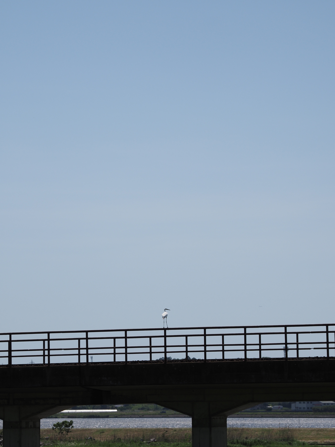 P5110734.jpg