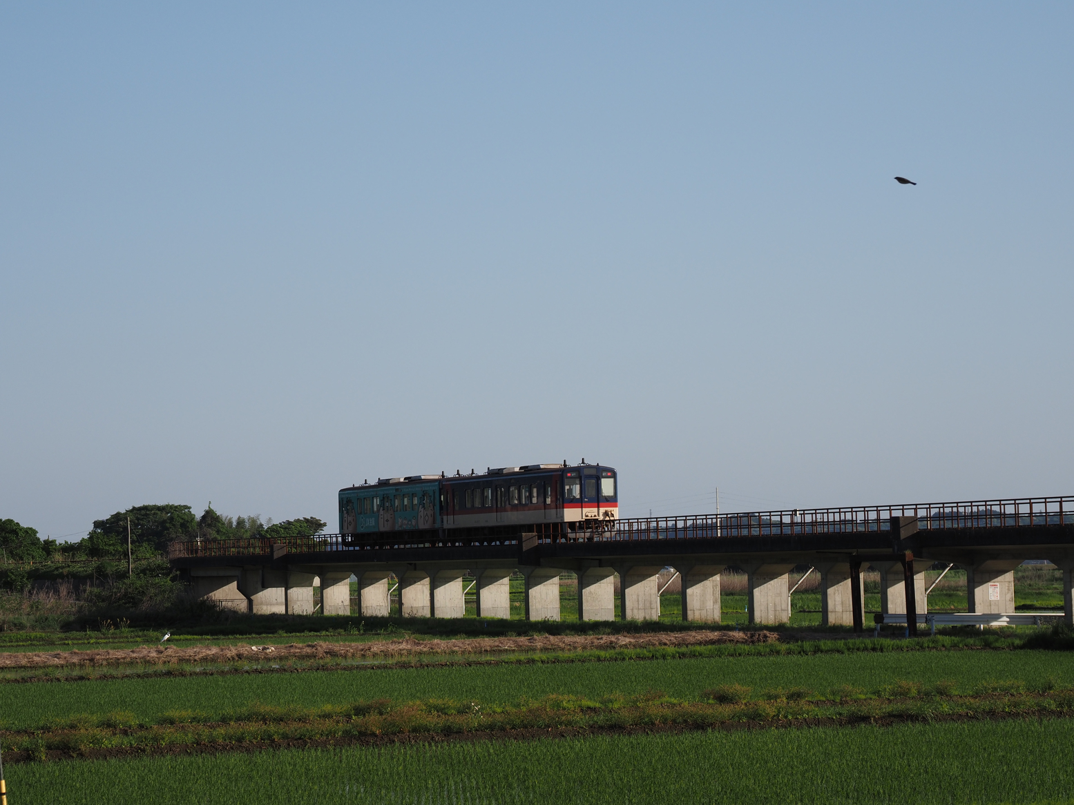 P5110790.jpg