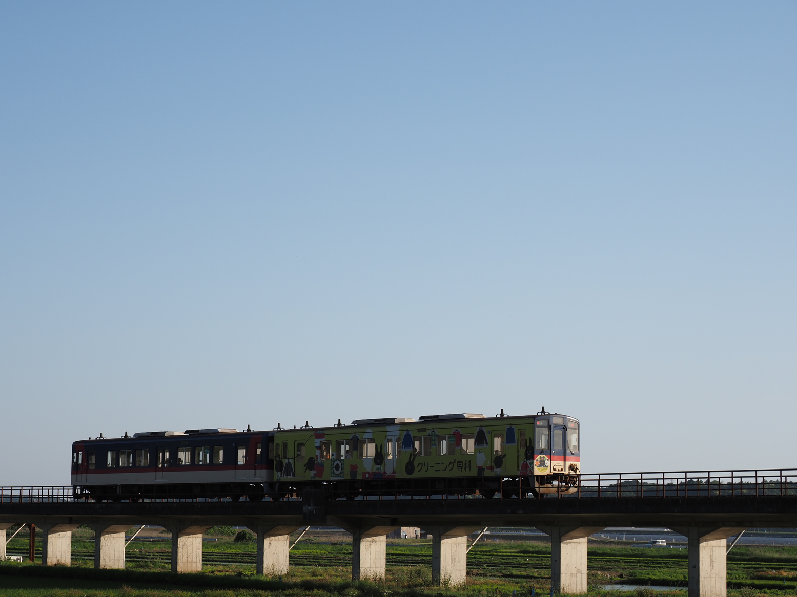 P5110843.jpg