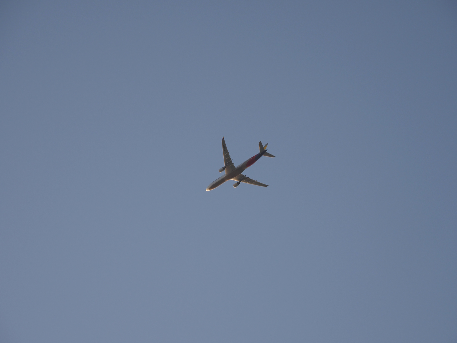P5110868.jpg