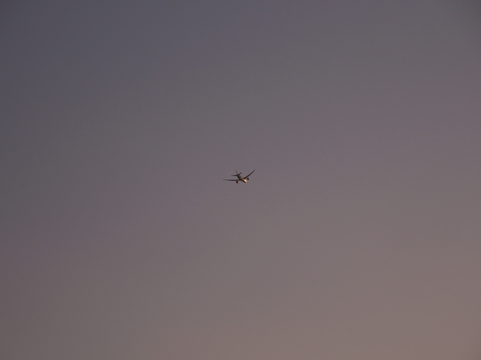 P5110879.jpg