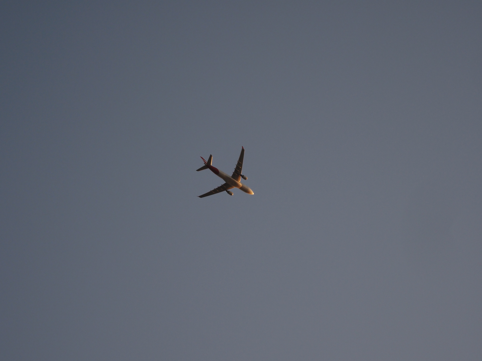 P5110884.jpg