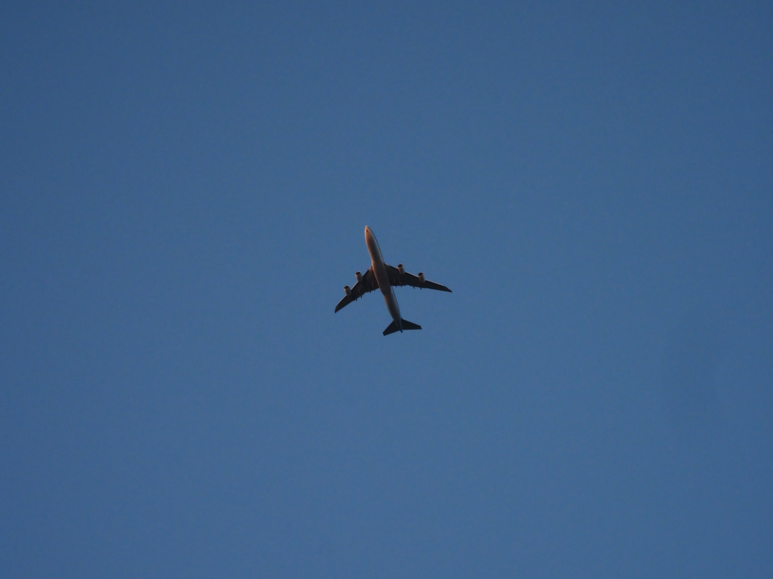 P5110914.jpg