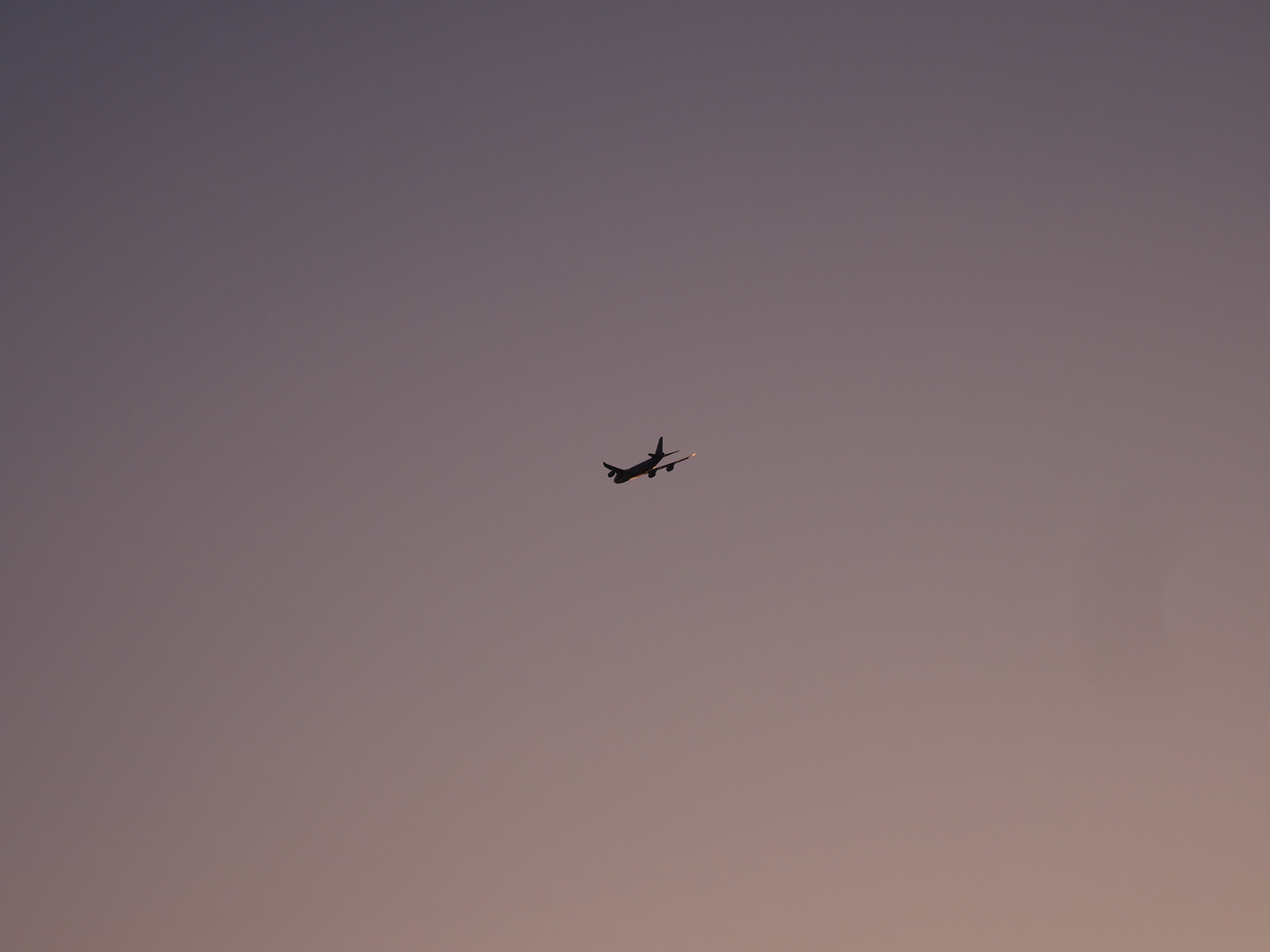P5110919.jpg