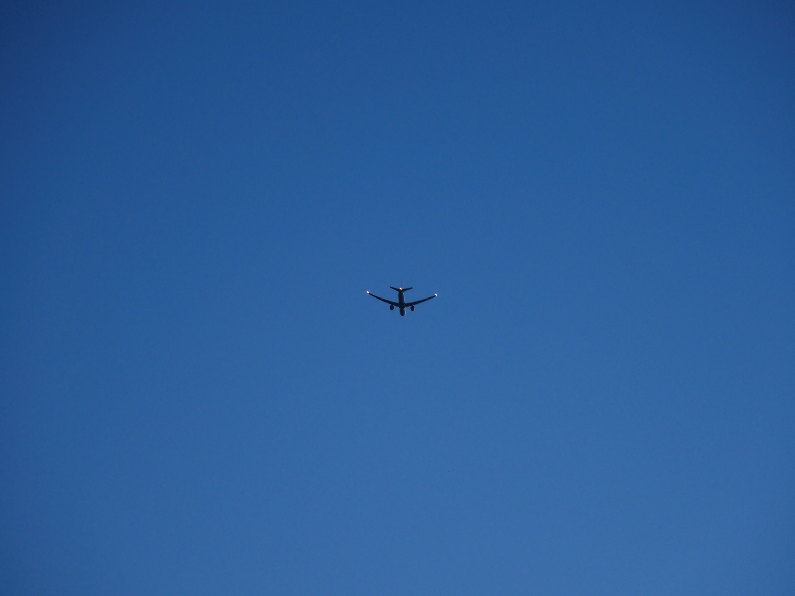 P5110930.jpg
