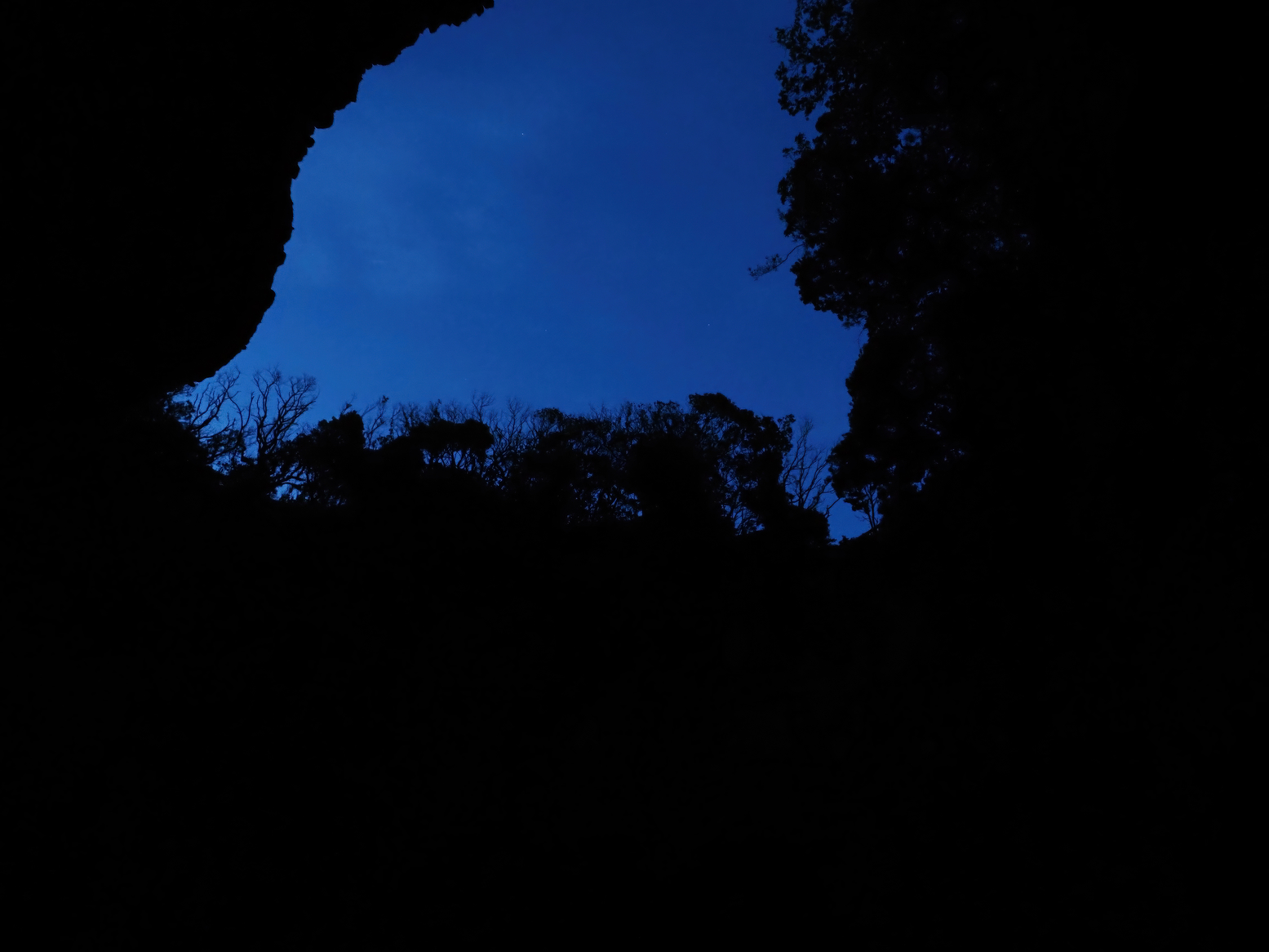 P5180020.jpg
