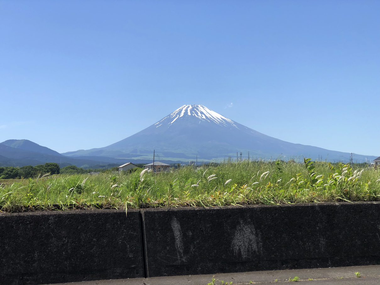 P5180157-006.jpg