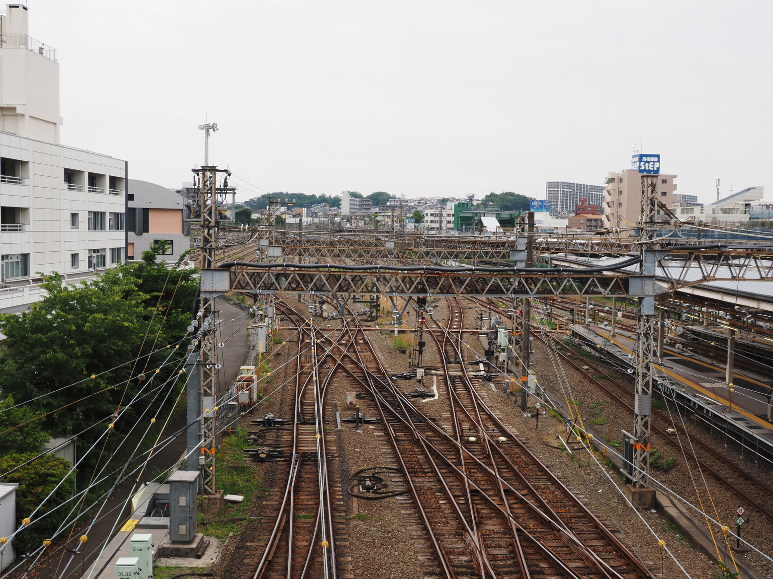 P5190160.jpg