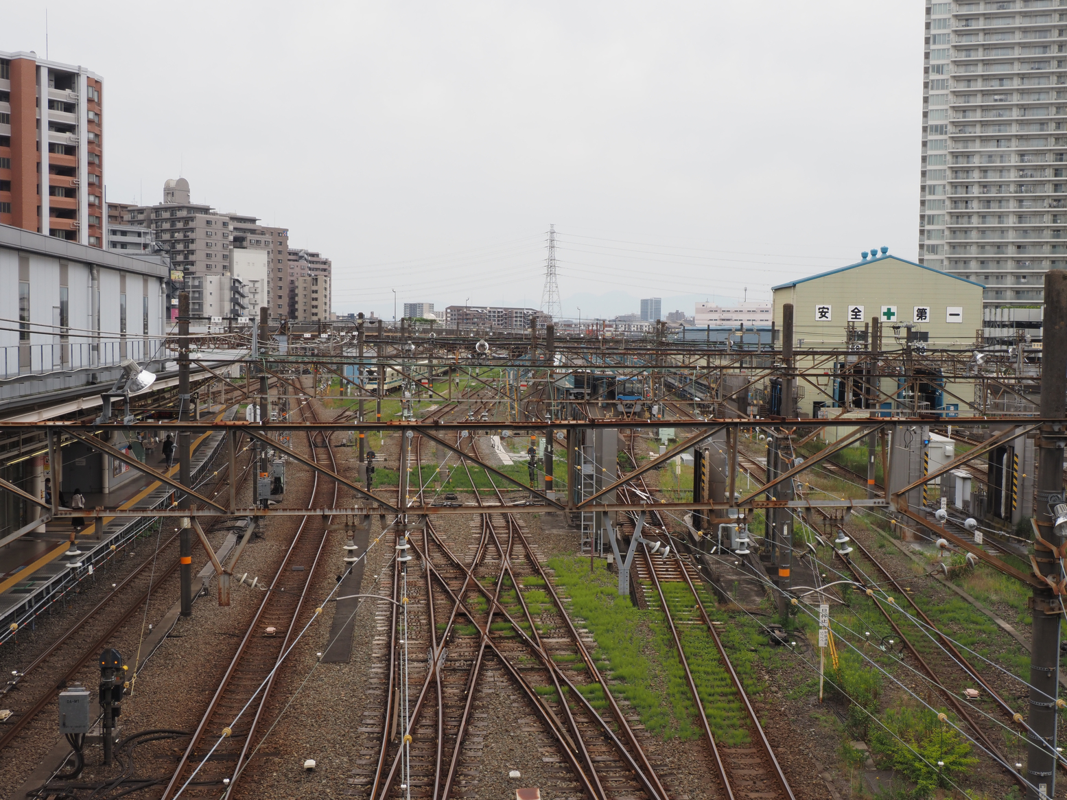 P5190162.jpg