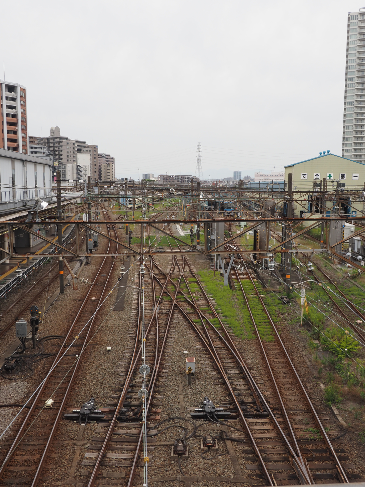 P5190163.jpg