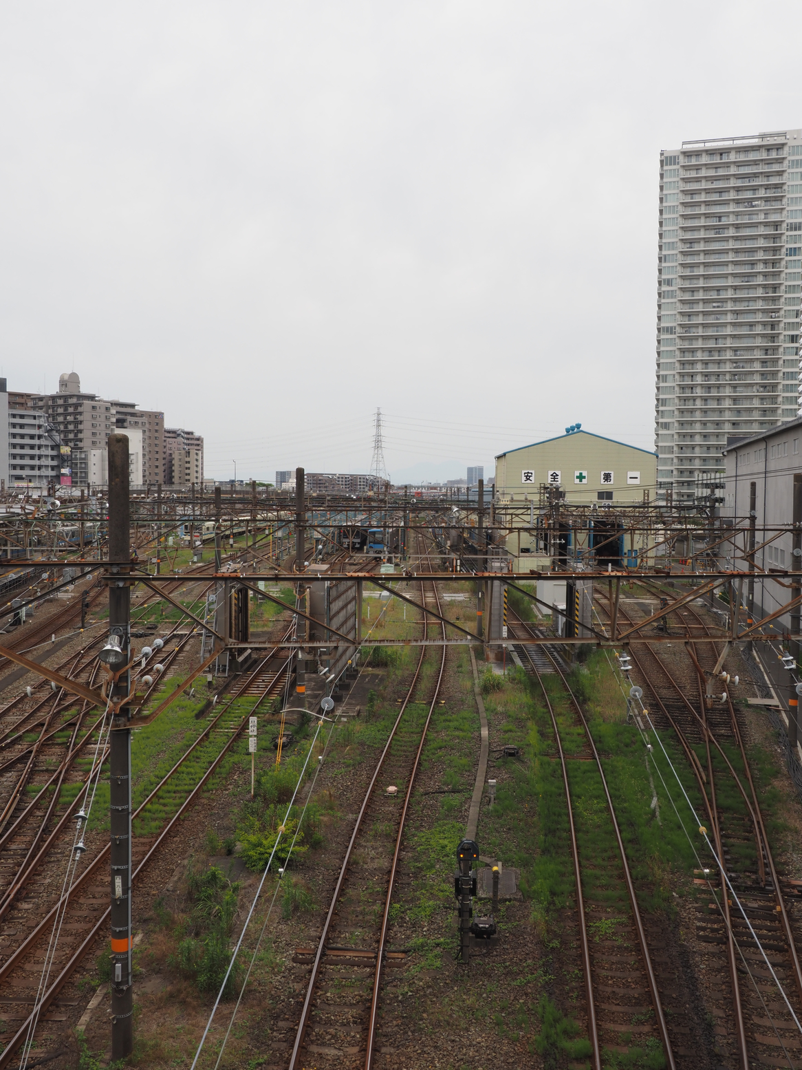 P5190166.jpg