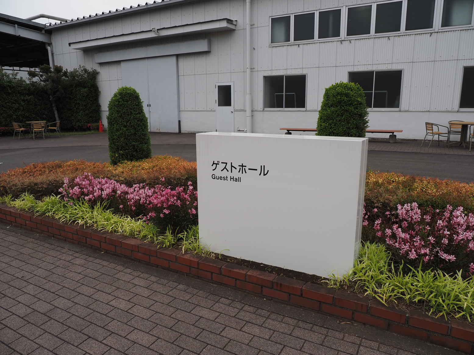 P5190317.jpg