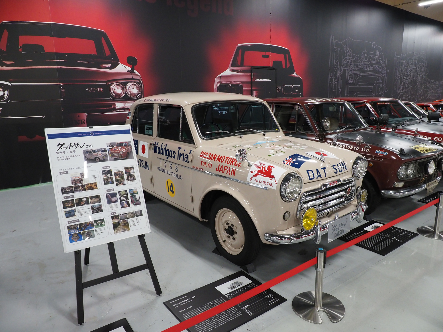 P5190362.jpg