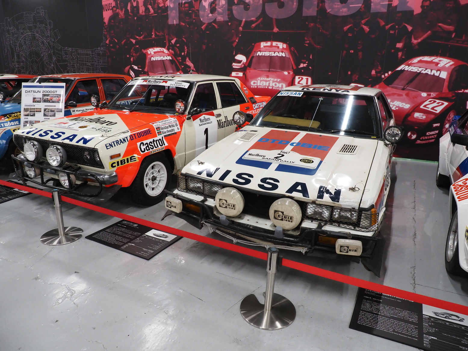 P5190376.jpg