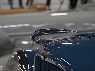 P5190412_thumb.png