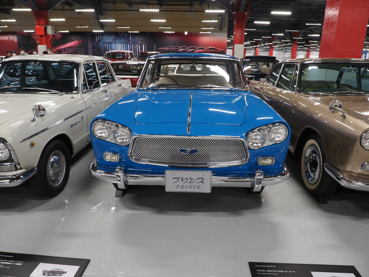 P5190434.jpg