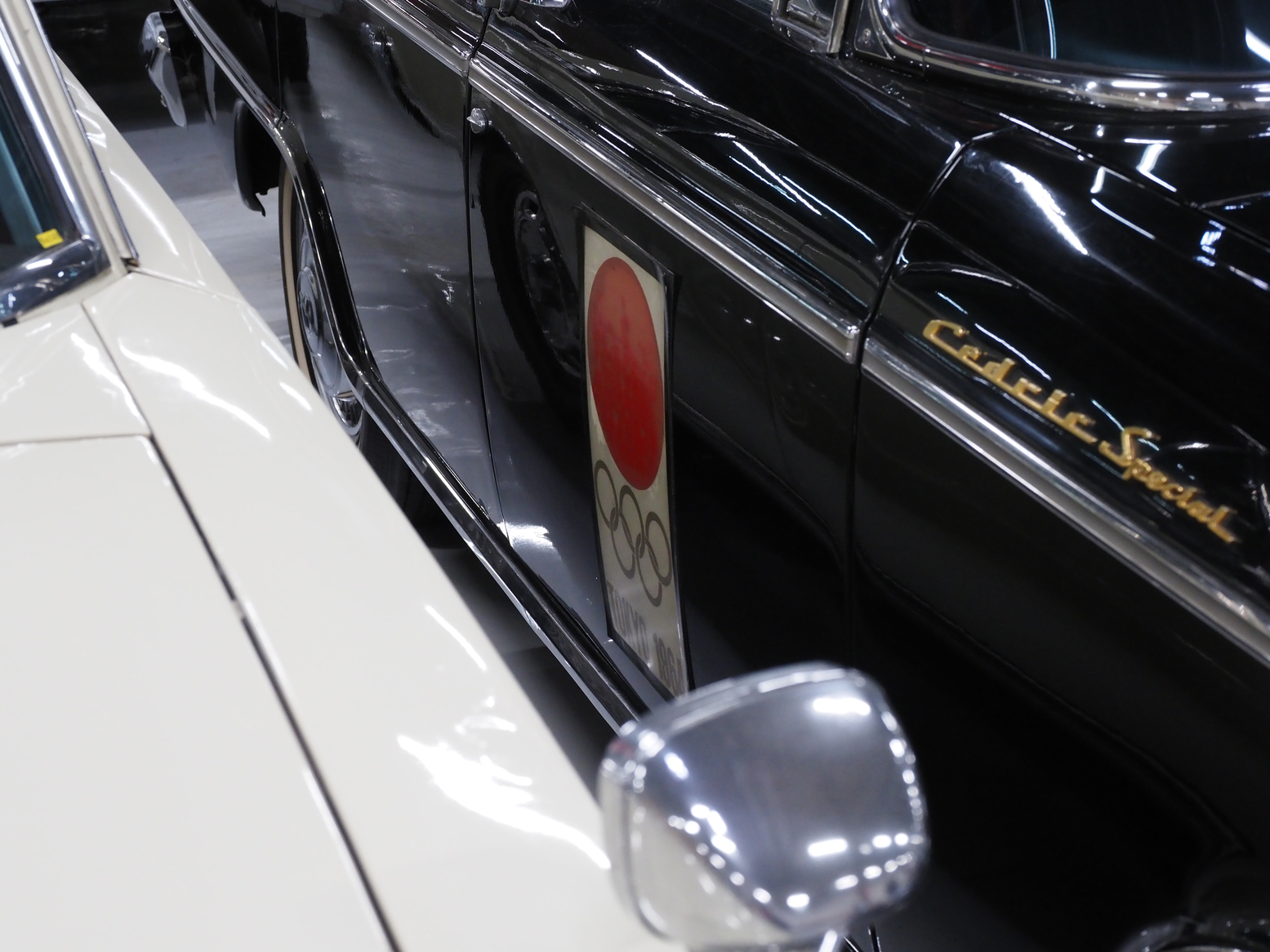P5190446.jpg