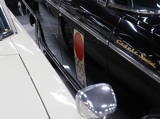 P5190446_thumb.png