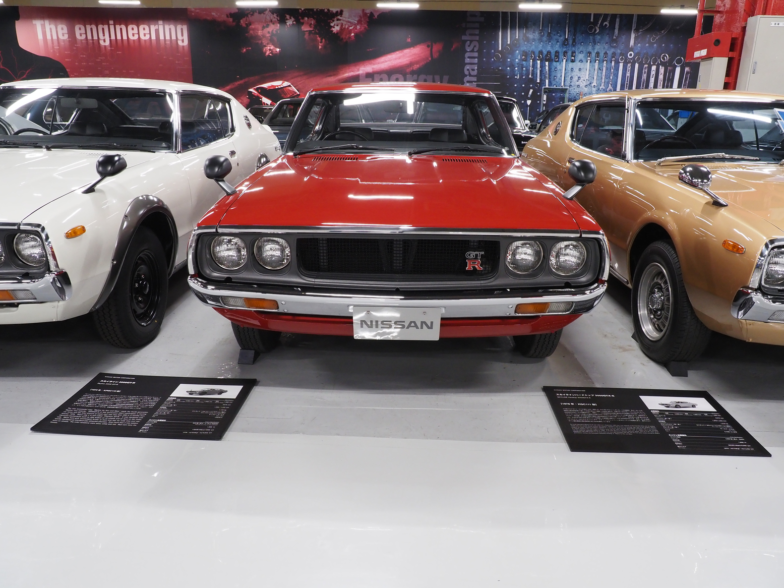 P5190456.jpg