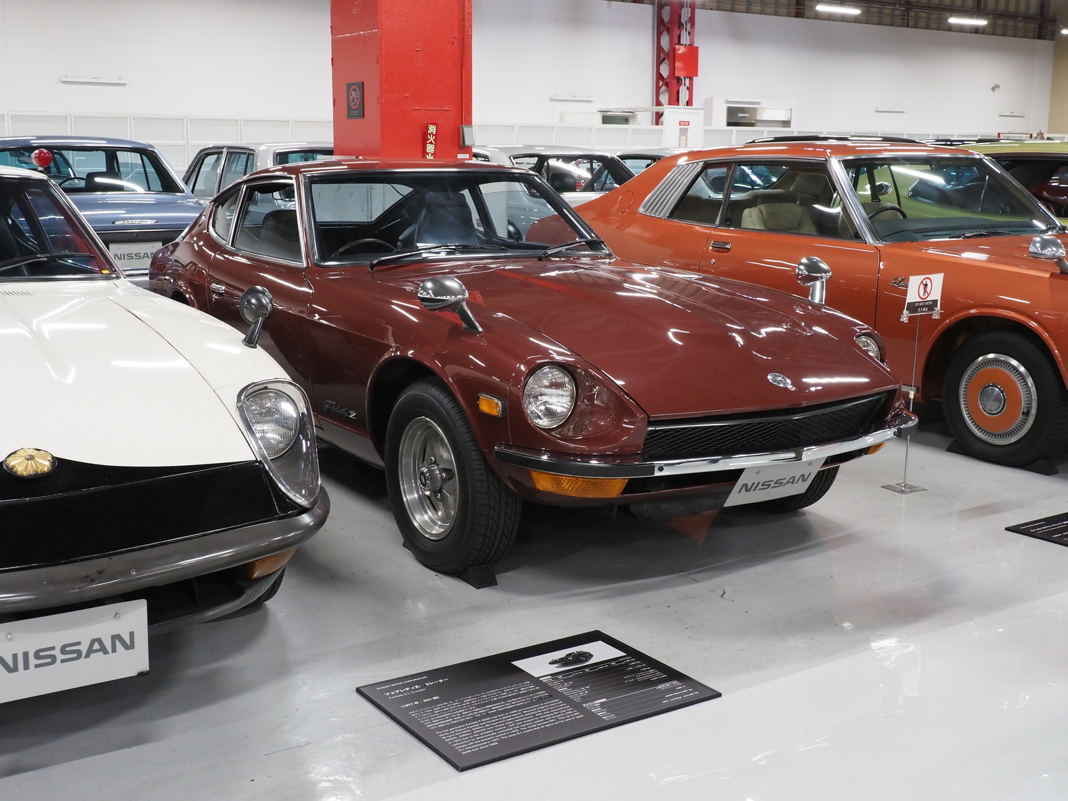 P5190461.jpg
