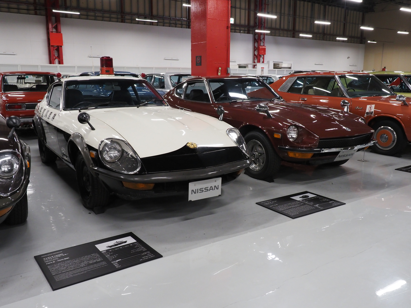 P5190462.jpg