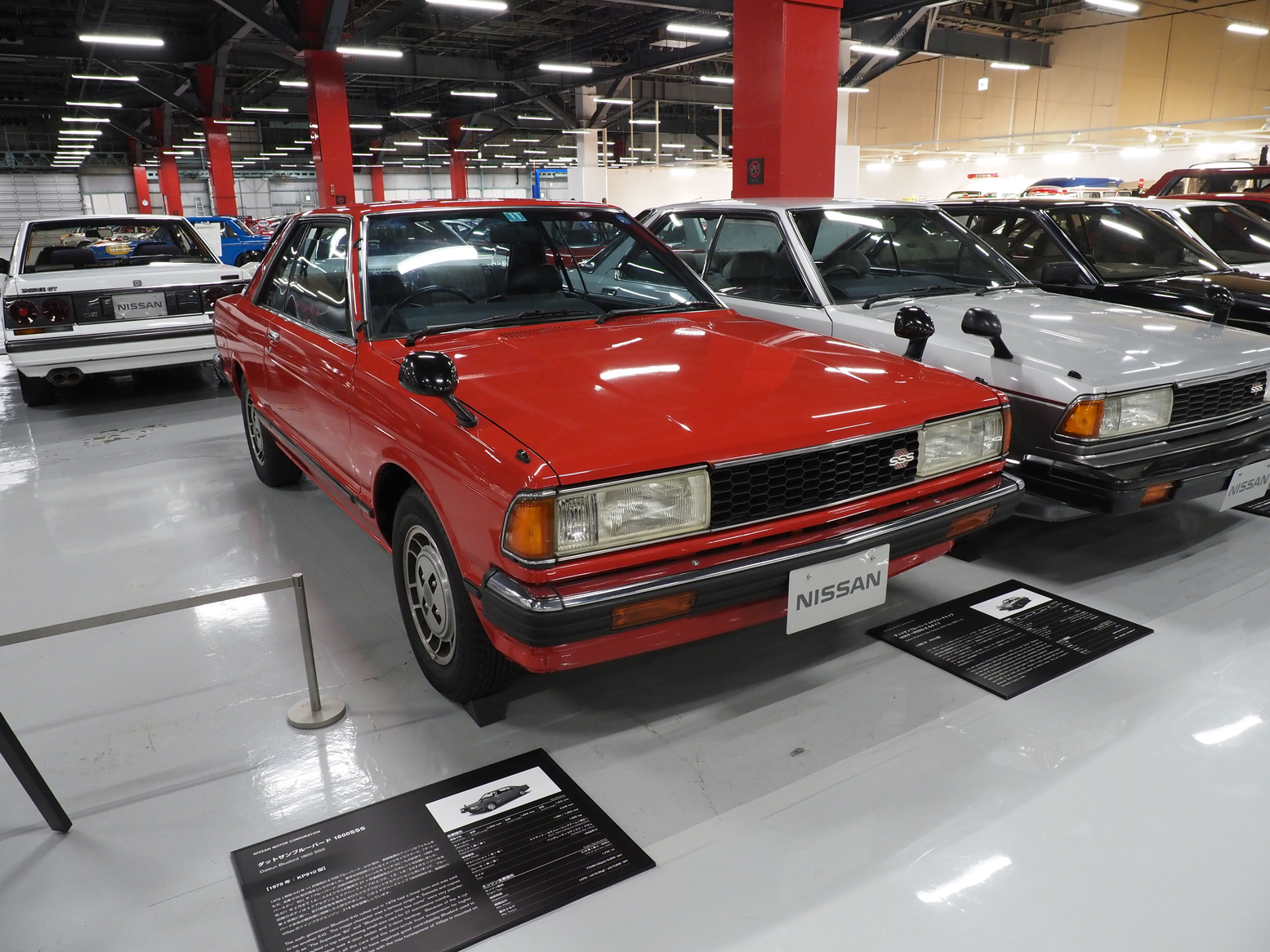 P5190471.jpg