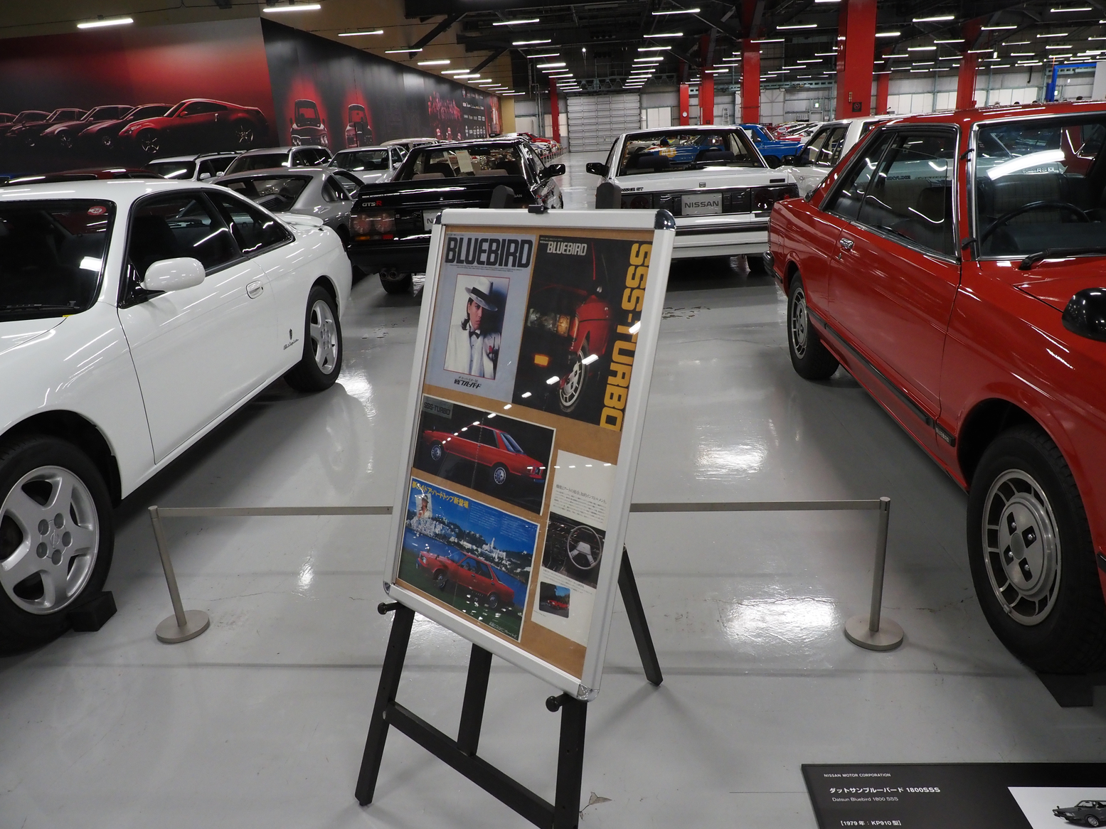 P5190472.jpg